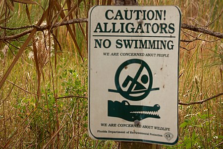 Fail:Alligator warning.jpg
