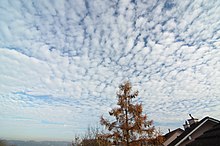 Altocumulus stratiformis translucidus.jpg