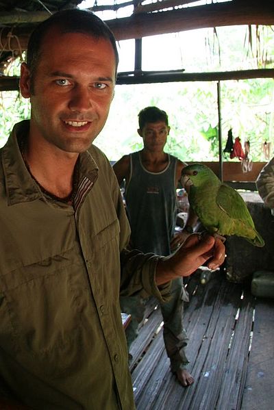 File:Amazona festiva -Brazil -pet with clipped wings-8b.jpg