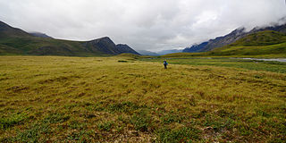 <span class="mw-page-title-main">Brooks–British Range tundra</span> Tundra ecoregion of Canada and the United States