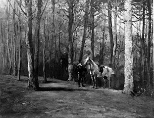 Pine Woods, Magnolia