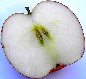 Apple red delicius cross-cut.jpg