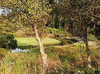 The swampy part of the gulch is also known as Arana March. Arana Marsh.jpg