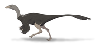 Archaeornithomimus.png 