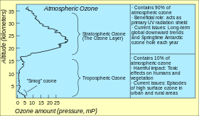 The distribution of atmospheric ozone in partial pressure as a function of altitude Atmospheric ozone.svg