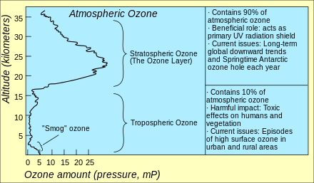 The distribution of atmospheric ozone in partial pressure as a function of altitude