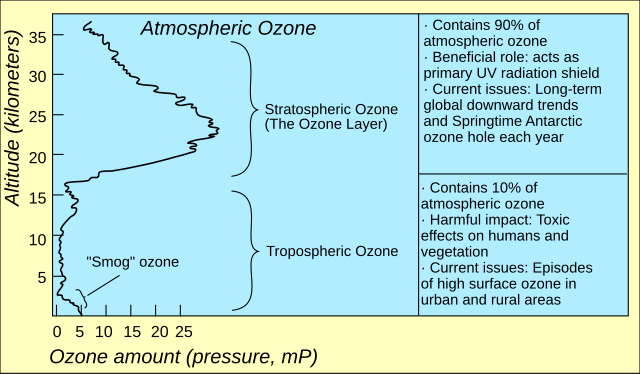 Antarctic ozone hole is 13th largest on record and expected to