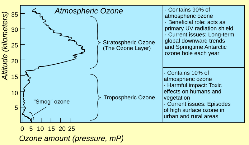 Health and Environmental Effects of Ozone Layer Depletion