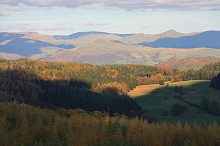 Grizedale Forest Natural area in North West England