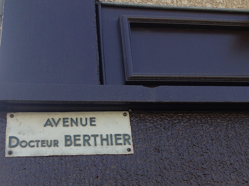 File:Avenue Docteur Berthier à Meximieux.JPG