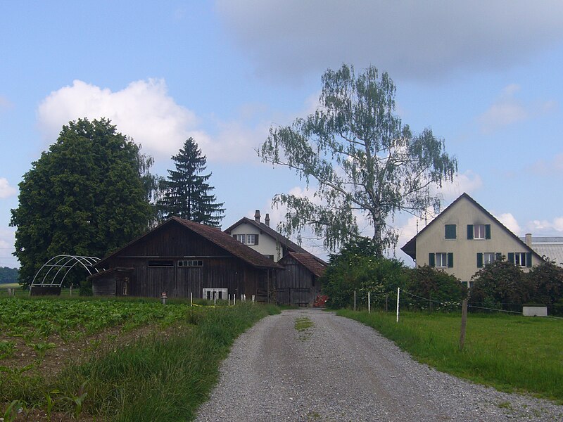 File:BüchliII.jpg