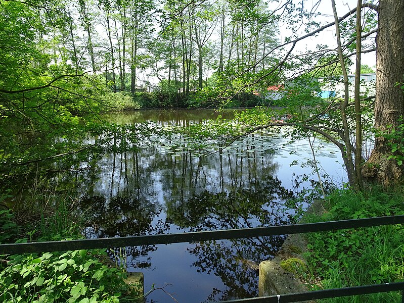 File:Bünzer Wassermühle, Mai 2018 02.jpg