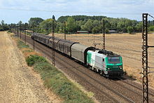 Une locomotive en livrée verte Fret SNCF et quelques wagons en pleine campagne.