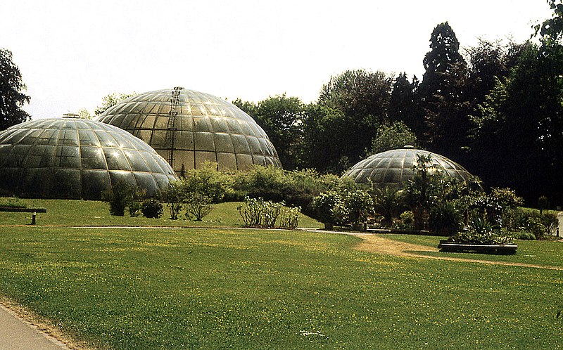 File:BOTANISCHER GARTEN DER UNIVERSITAT ZURICH 1989. 05.27.jpg