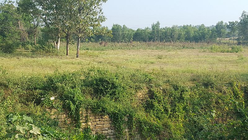 File:Babu reddy's farm.jpg