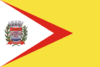 Flag of Rubinéia