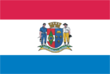 Vlag van Orleans