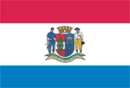 Vlag van Orleans