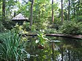 Miniatura para Arboreto de la fundación Barnes