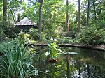 Фонд Барнса, Мерион, Пенсильвания - arboretum pond.jpg