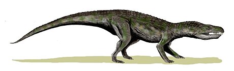 File:Baurusuchus BW.jpg