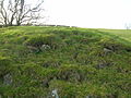 Details of the boulders used in the construction of the Beith Court hill.