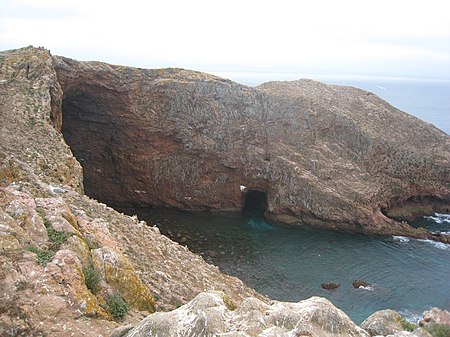 Tập_tin:Berlengas_(5).jpg