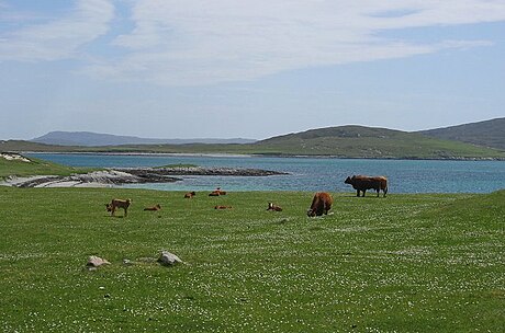 Machair