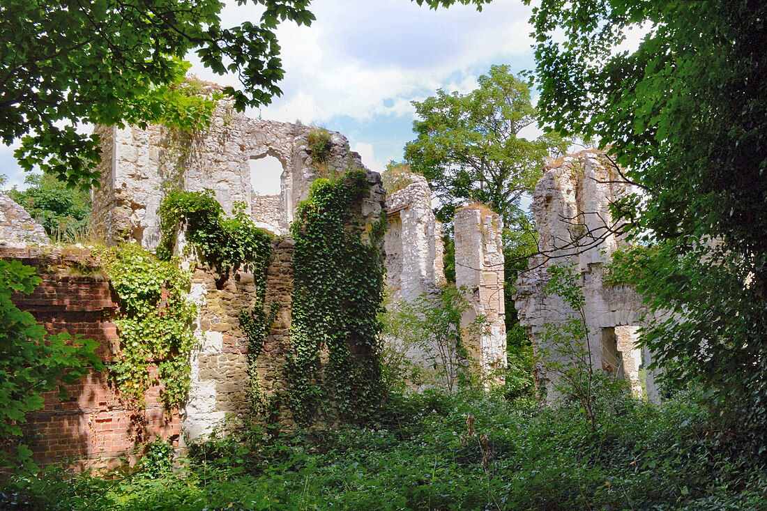 Betchworth Castle