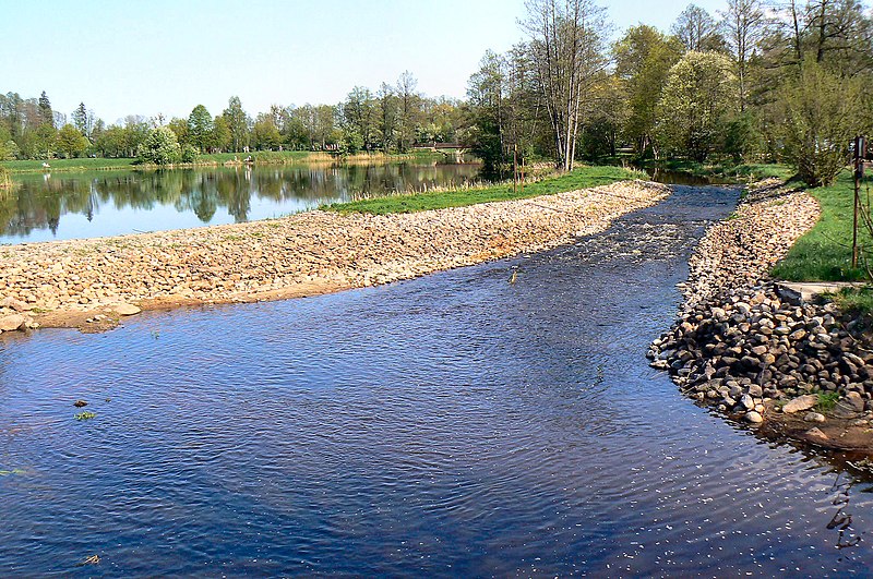 File:Białowieża.Narewka po ,tuningu. - panoramio.jpg