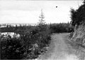 Bicycle along the Lake Washington bicycle path, 1899-1900 (SEATTLE 3221).jpg