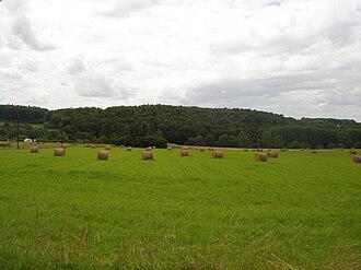 Boischaut nord Boischaut Nord - Merigny (36) - Champ d'herbe.jpg