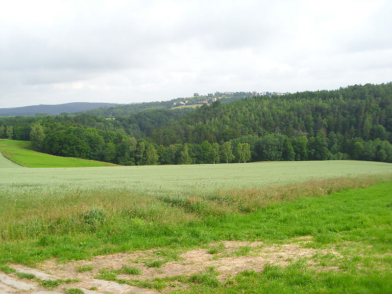 File:Blick auf den Spechtritzgrund bei Spechtritz.JPG