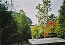 View from the park at the Erlkron ruins, 2004.jpg