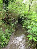 Thumbnail for File:Boundary Brook - geograph.org.uk - 5413643.jpg