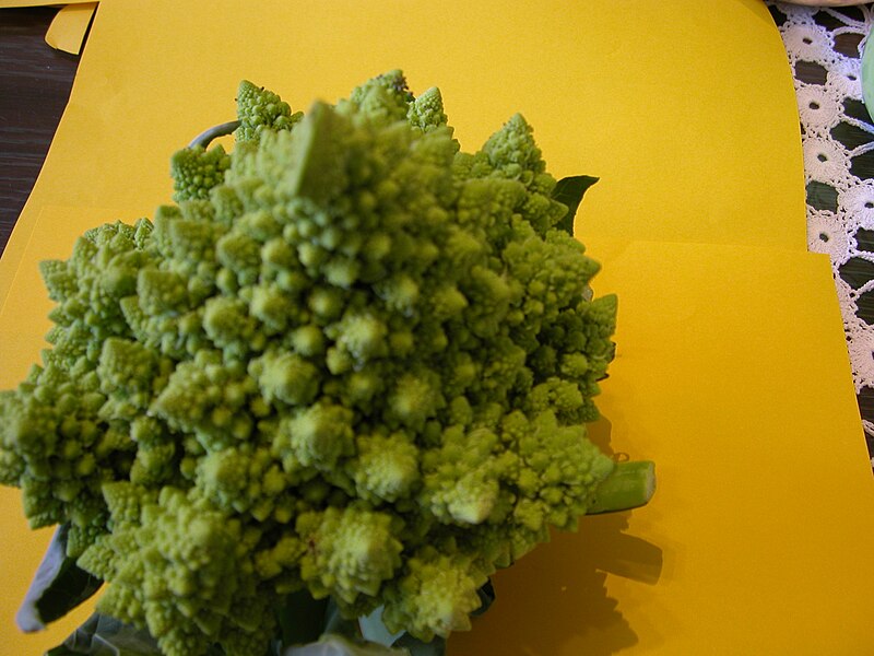 File:Broccoli DSCN4341.jpg