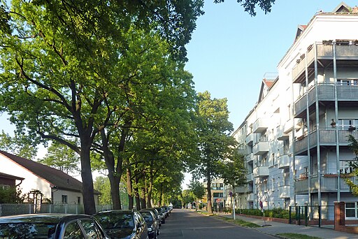 Bruno-Bürgel-Weg, Berlin-Niederschöneweide, 404-509