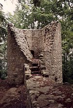 Burg Ehrenfels (Bayern)