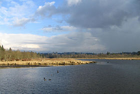 Illustrasjonsbilde av artikkelen Burnaby Lake