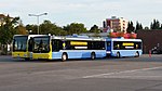 Merceden Benz- och MAN-bussar med släpbussar i trafikförsök i Berlin