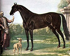 Peinture représentant un cheval bai foncé à la tête petite, tenu en main par un homme en costume d'époque, un chien à ses côtés.