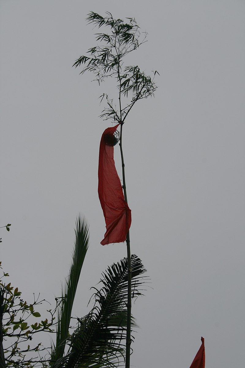 Cây nêu là một biểu tượng không thể thiếu trong không khí Tết truyền thống của người Việt Nam. Hãy dừng chân và chiêm ngưỡng bức ảnh về cây nêu để cảm nhận sự thanh tịnh và may mắn mà nó mang lại cho một năm mới.