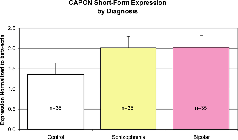 File:CAPON mRNA Short-Form Expression by Diagnosis.png