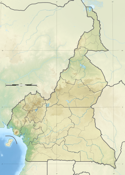 Cameroon map Lambert-AEA topographic with regions-blank.svg