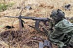 Pienoiskuva sivulle FN FAL