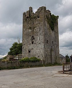 Das Ballyragget Castle aus dem 15. Jahrhundert überblickt die Stadt