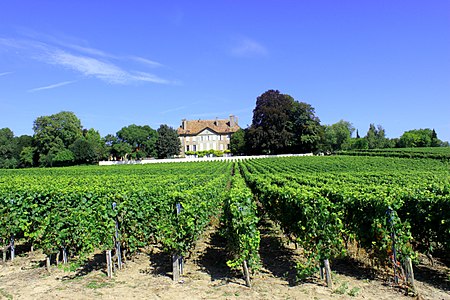 Château de Mestral bis