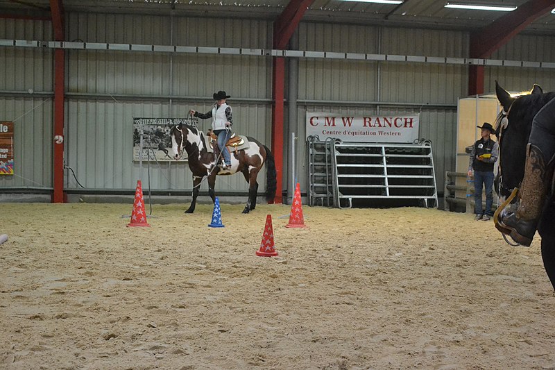 File:Cheval Passion 2022 - concours américain 9.jpg