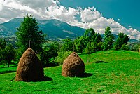 Rodna Mountains National Park