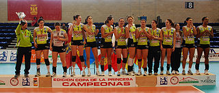 <span class="mw-page-title-main">CV Logroño</span> Spanish volleyball club